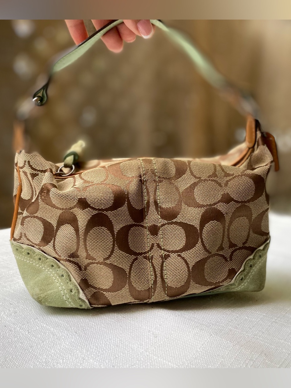 Authentic Rare Coach Signature Canvas Small Bag in Brown & Green Y2K